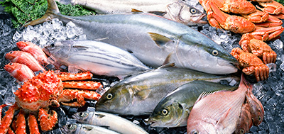 魚(yú)、蝦等海產(chǎn)品