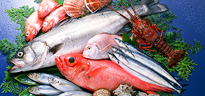 魚、蝦、殼類等各種海產(chǎn)品
