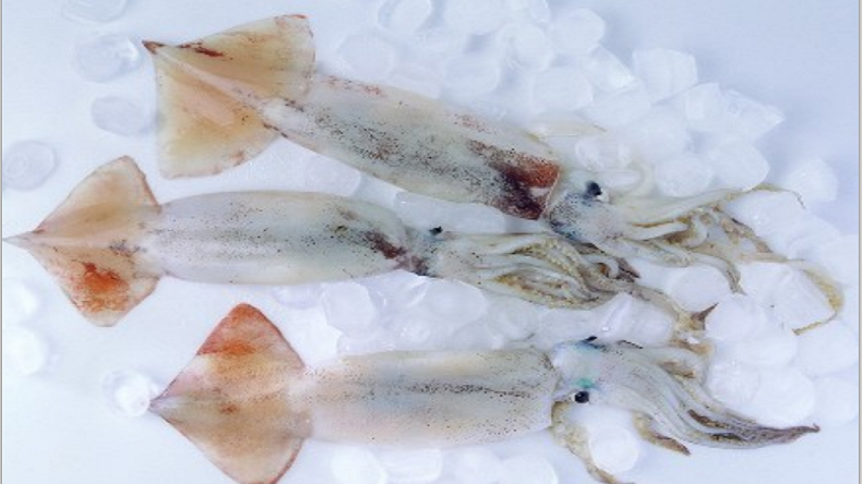 魷魚保水劑