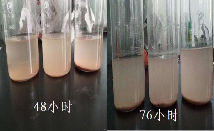 醬鹵產(chǎn)品護(hù)色