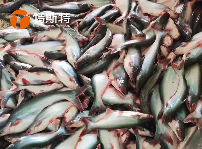 特斯特商學院
