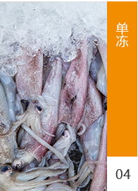 工藝流程4