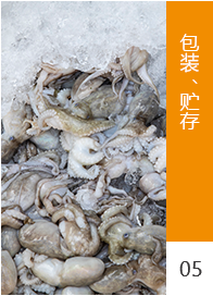 工藝流程5