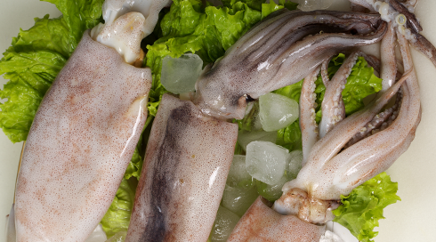 產(chǎn)品配方